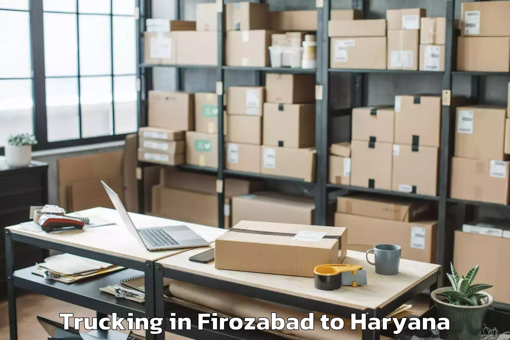 Professional Firozabad to Mvn University Palwal Trucking